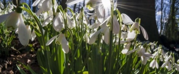 A gyógyító ima lényege