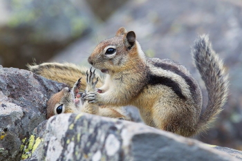 A művészt a művei alapján ismerhetjük meg