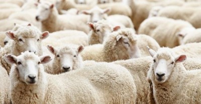 A neved Isten tenyerén