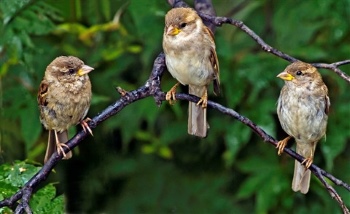 Ami neked számít, az Istennek is számít