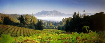 Egy nagyobb áldás vár rád