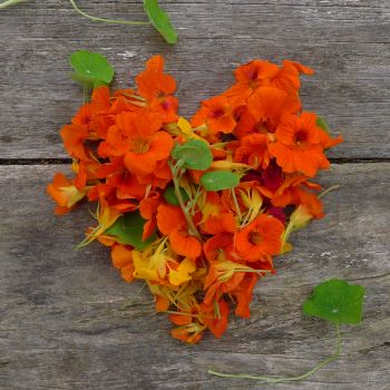 Élet az Újszövetség törvénye szerint