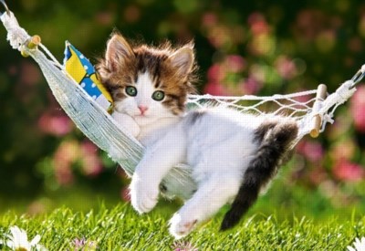 Fáradtságunk oka Fáradtságunk oka