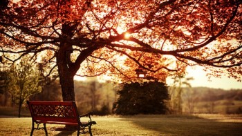 Jó volna megpihenni?