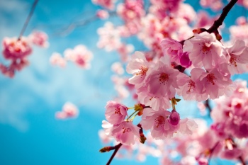 Készülj fel a meglepetésre