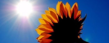 Minden nap megérdemel egy esélyt