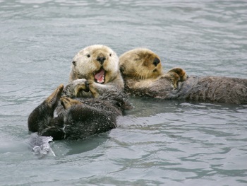 Ne aggódj, imádkozz! Ne aggódj, imádkozz!