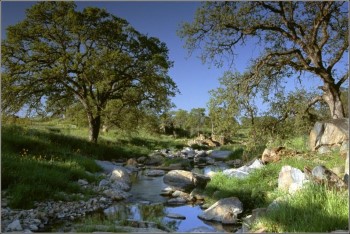 Nem fogsz a völgyben ragadni