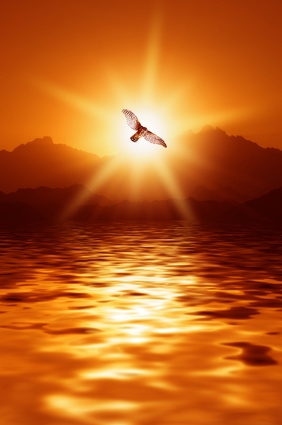 Ragadd meg az erőt!