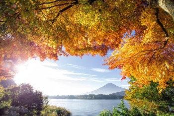 Segítség a szükség idején Segítség a szükség idején